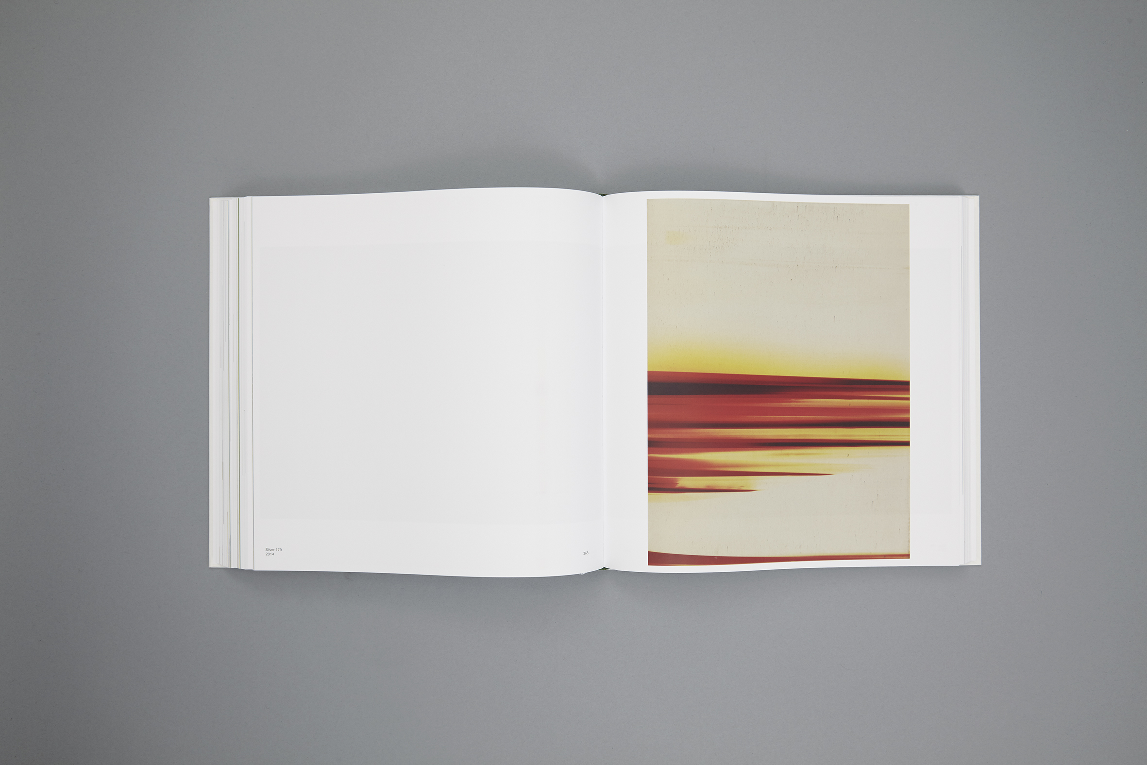 Saturated Light Wolfgang Tillmans   delpire & co