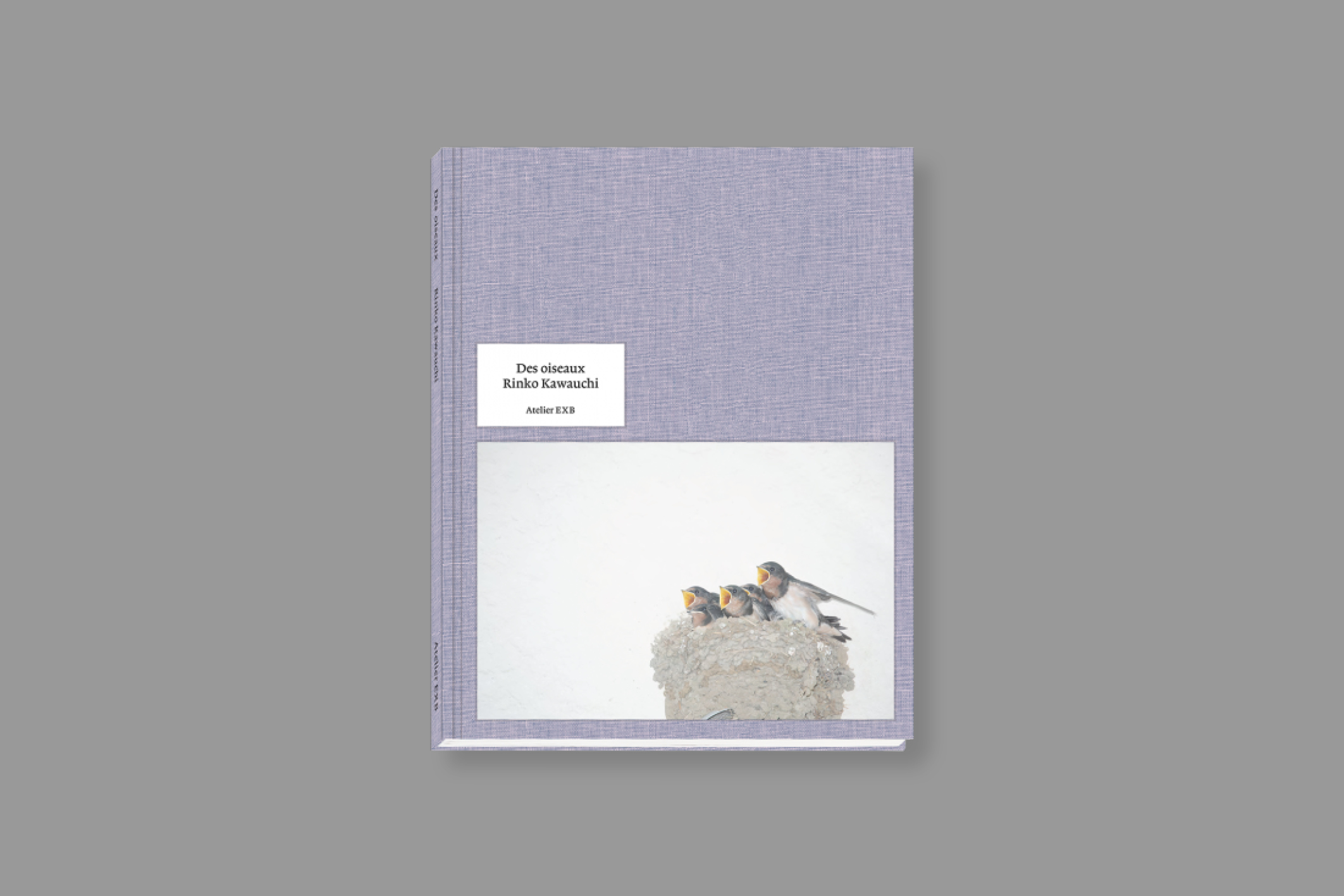 des-oiseaux-rinko-kawauchi-exb-cover