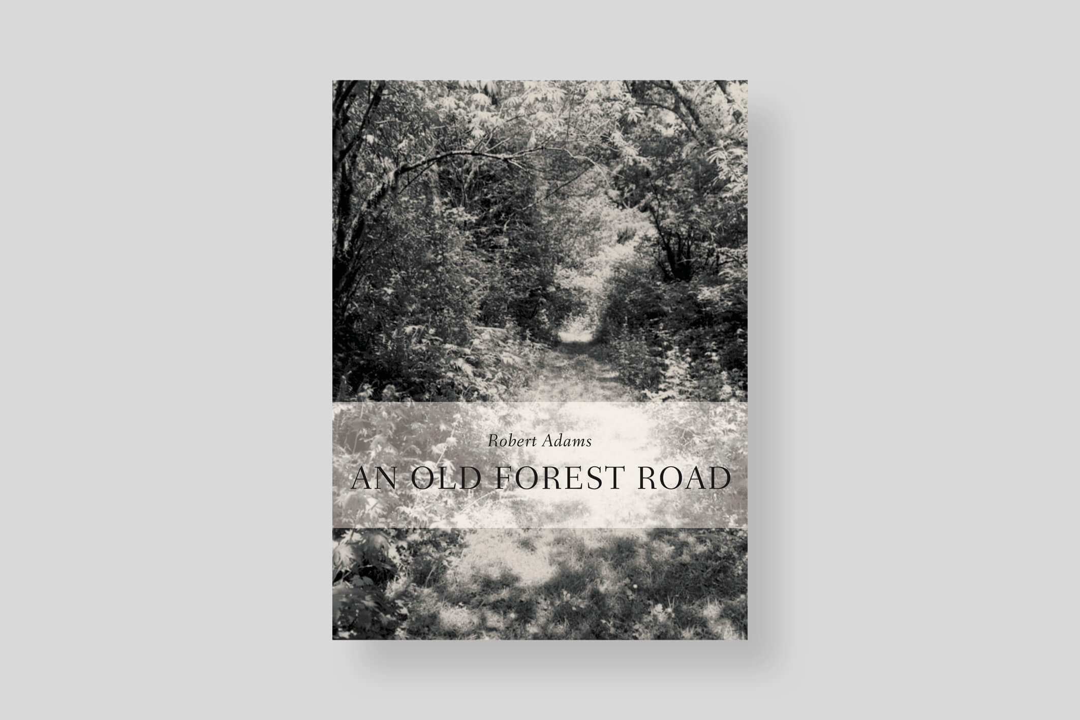 An-old-forest-road_Robert-Adams_Walther-konig_cover