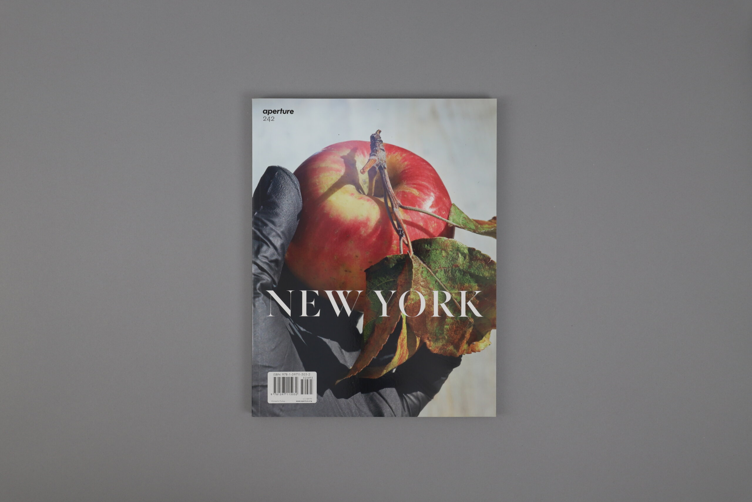 Aperture-Magazine-n242-New-York-cover