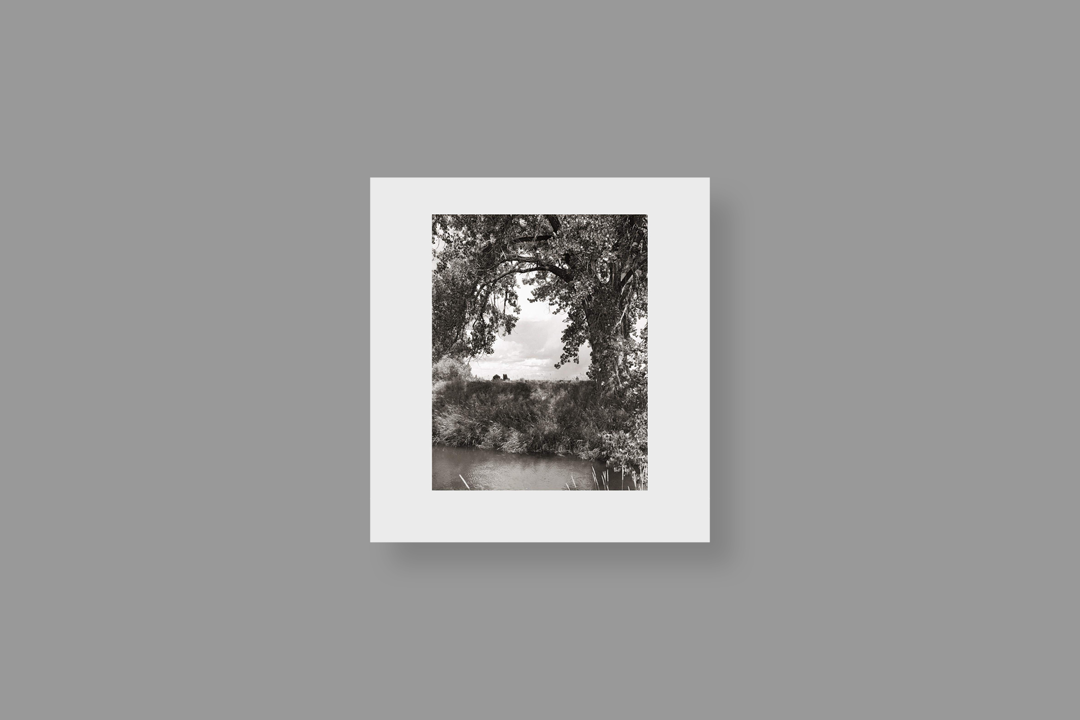 Cottonwoods-Robert-Adams-Steidl-cover