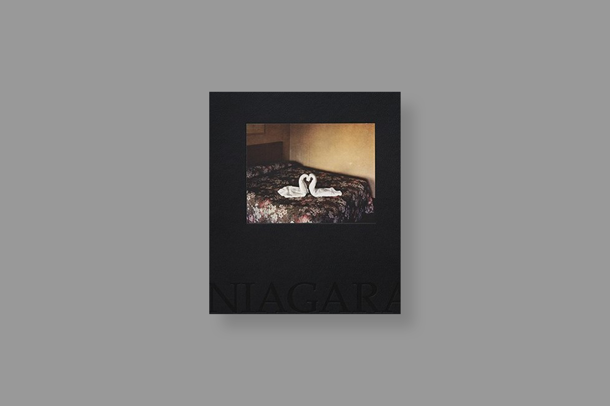 Niagara-Alec-Soth-mack-books-cover