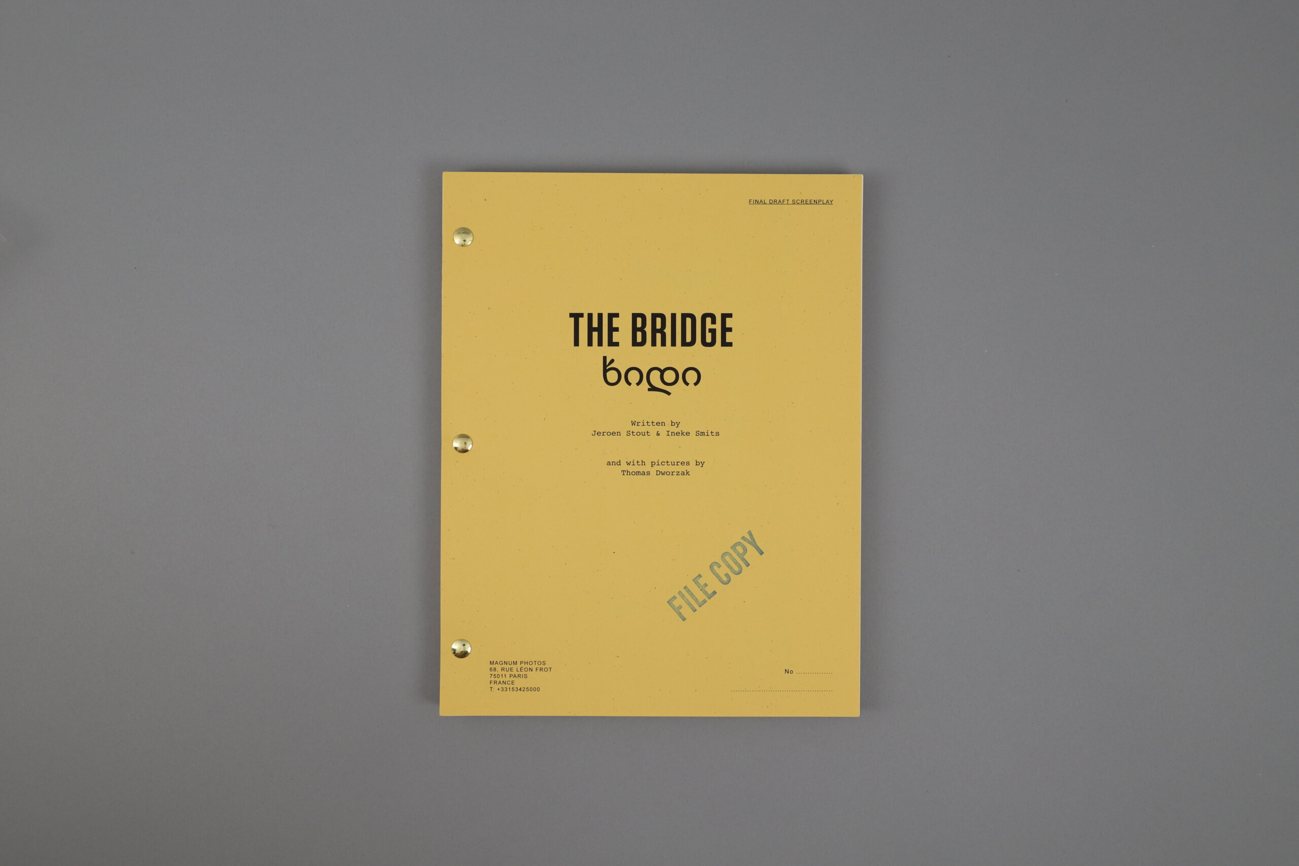 The-Bridge-Thomas-Dworzak-magnum-cover