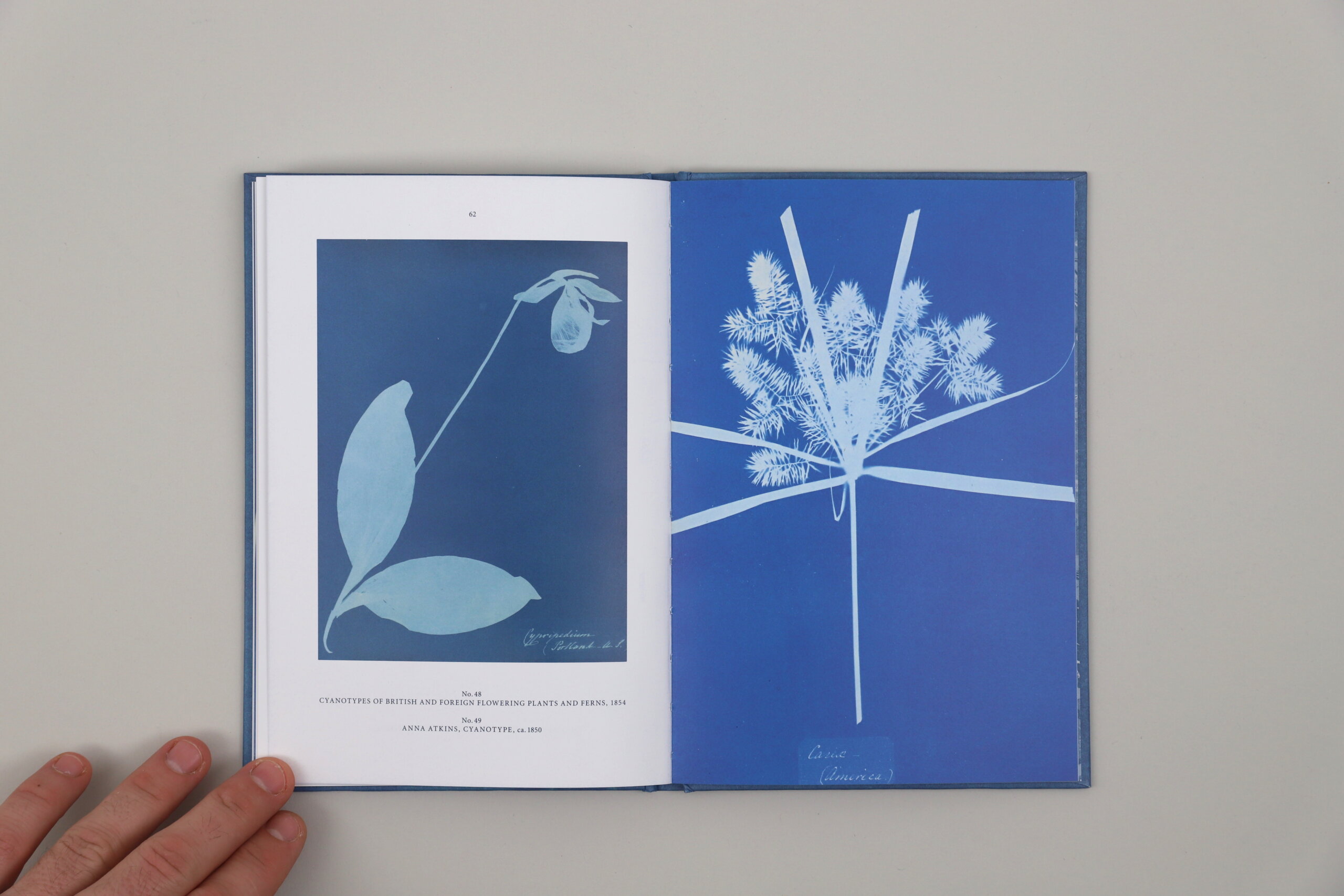 Blue-Prints-Anna-Atkins-Hirmer-visuel-3