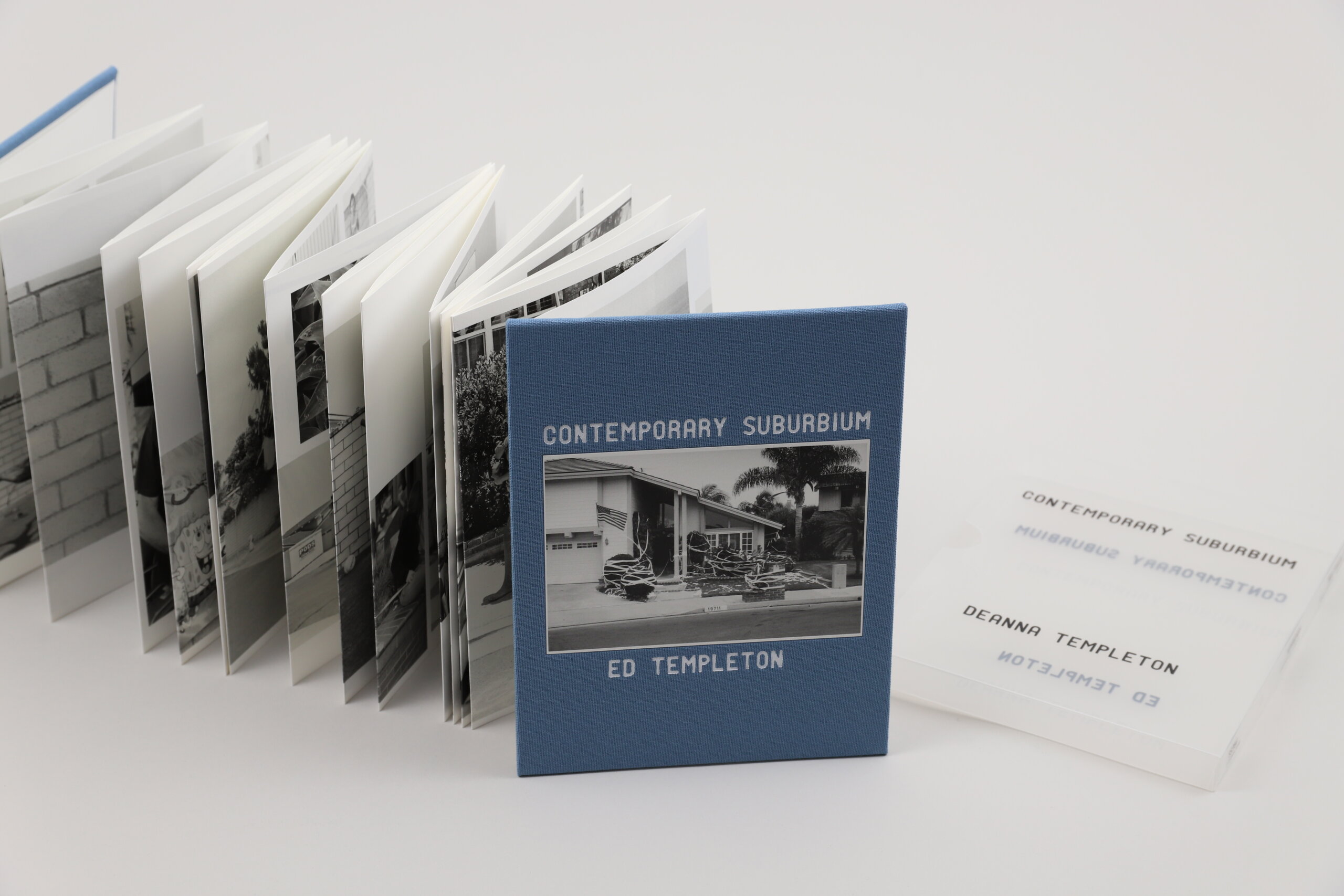 Contemporary-Suburbium-Ed-Templeton-Nazraeli-Press-visuel-6
