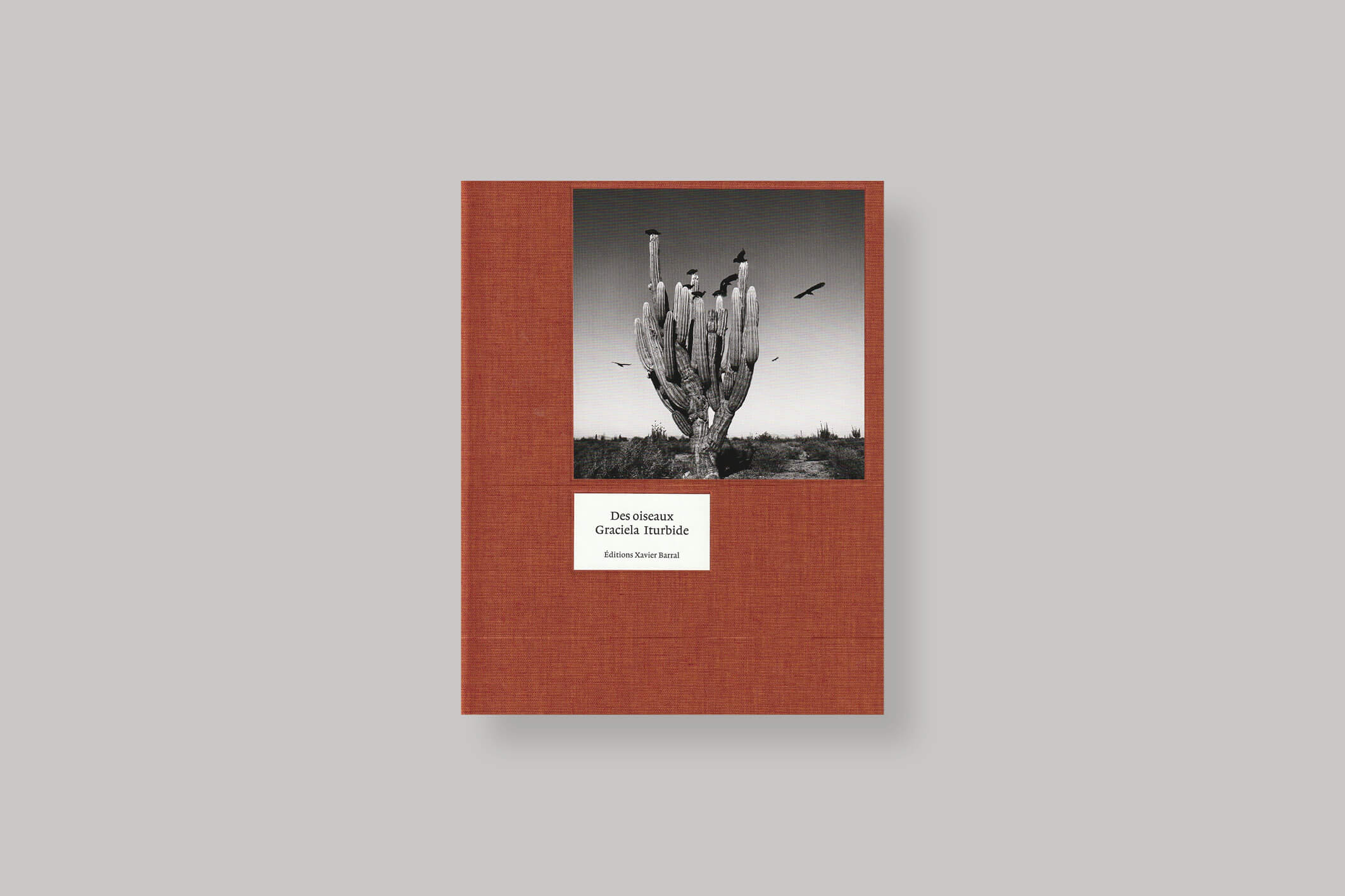 Des-oiseaux-Graziela-Iturbide-Editions-EXB-cover