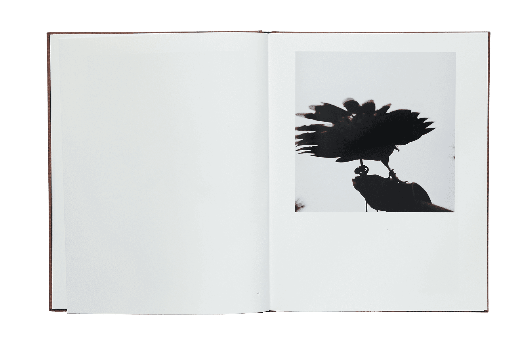 Des-oiseaux-Graziela-Iturbide-Editions-EXB-visuel-2