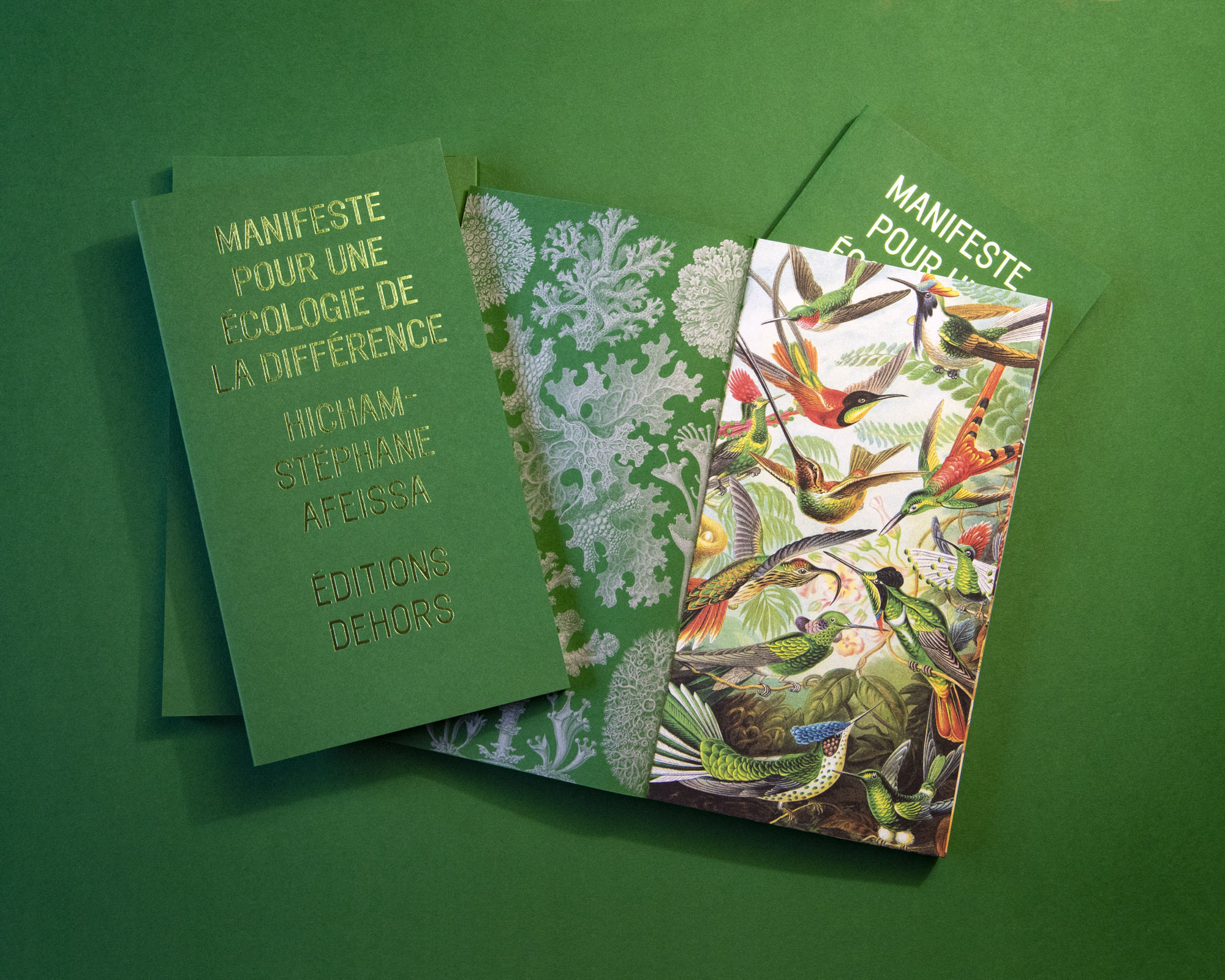 Manifeste-pour-une-ecologie-de-la-difference-hicham-stephane-afeissa-editions-dehors-visuel-2