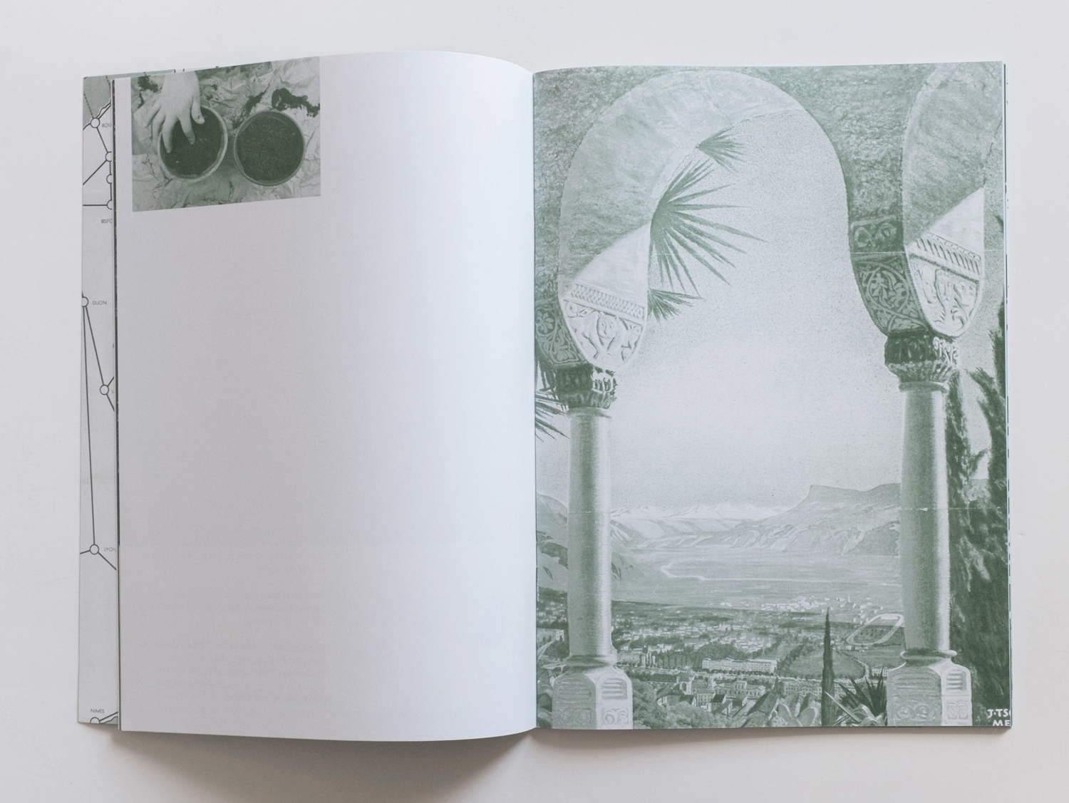 Palm-Tree-Studies-Nanna-Debois-Buhl-Humboldt-Books-visuel-1