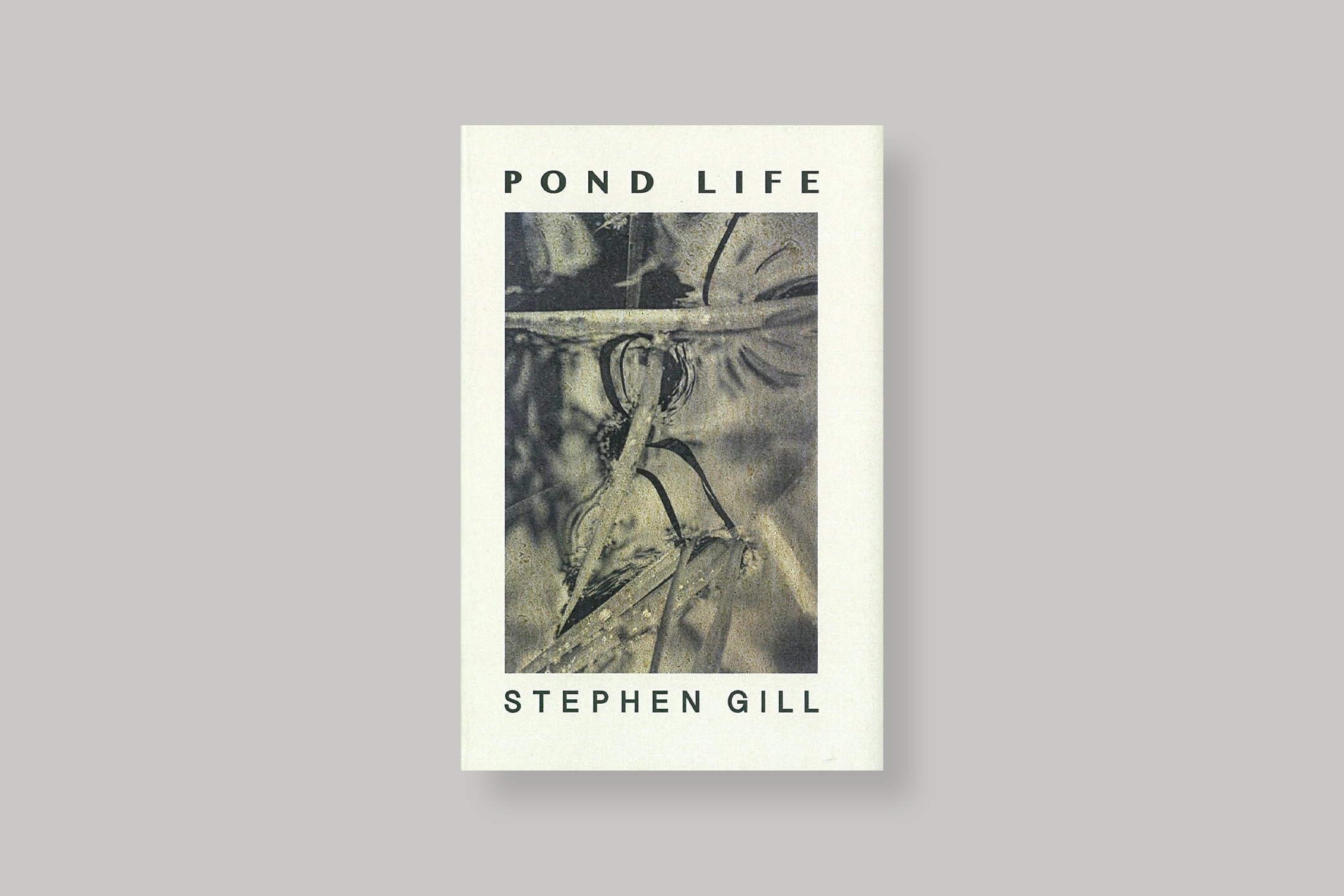Pond-life-stephen-gill-salon-verlag-cover