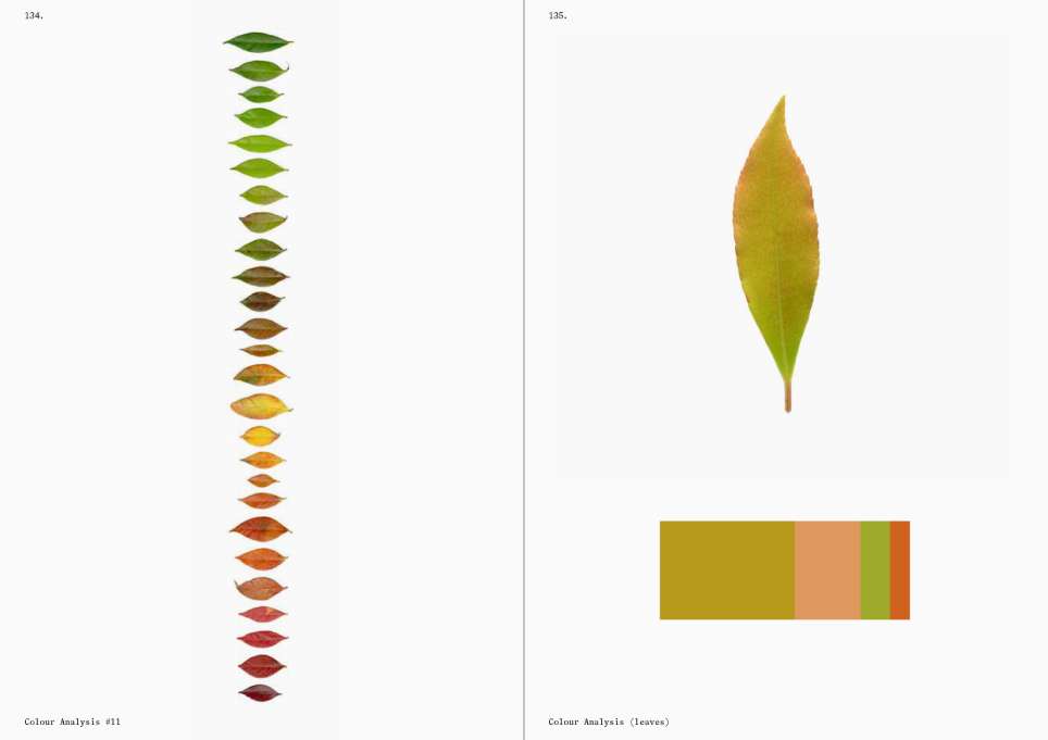 book-of-plants-anne-geene-dehef-visuel-1