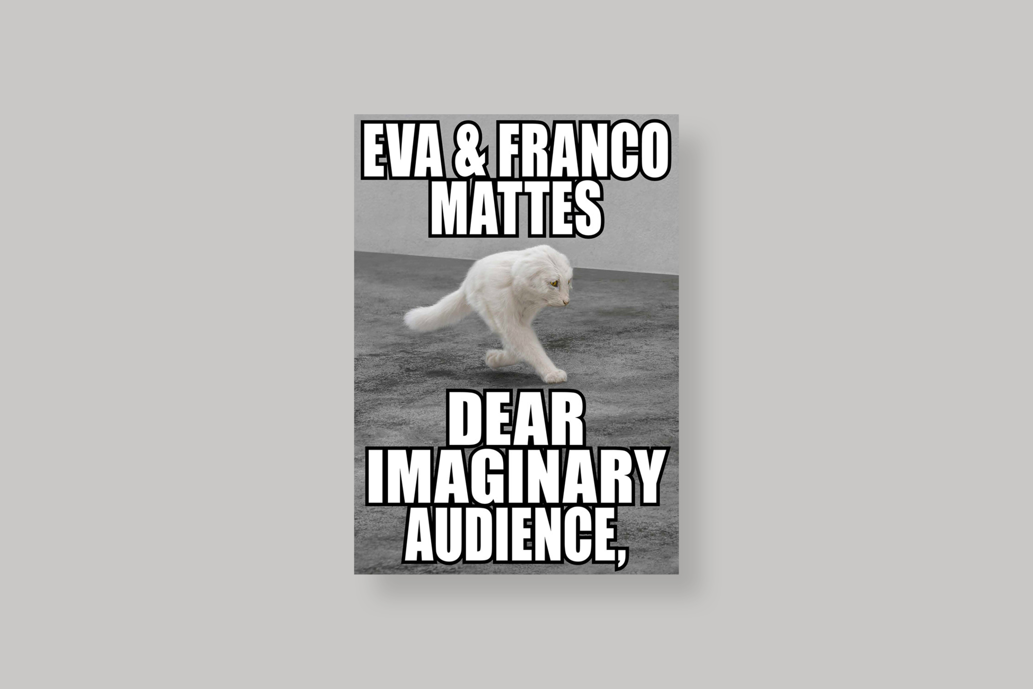 Dear-imaginary-audience-eva-franco-mattes-cover