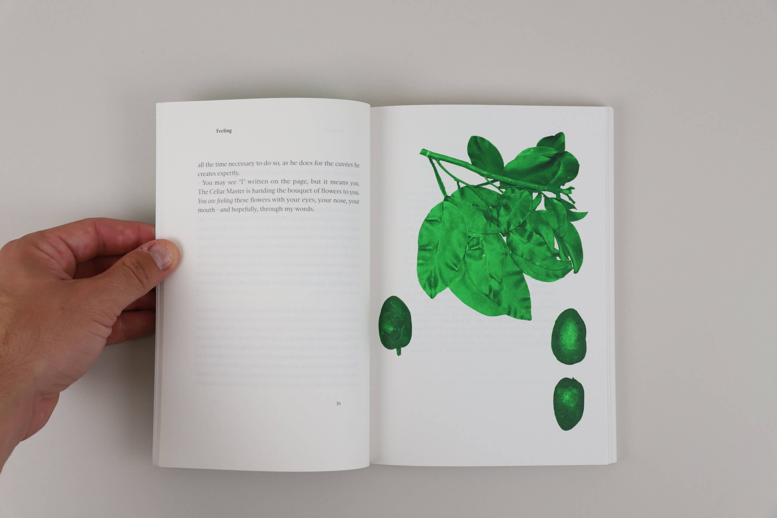 Feeling-Ryoko-Sekiguchi-jbe-books-visuel-1