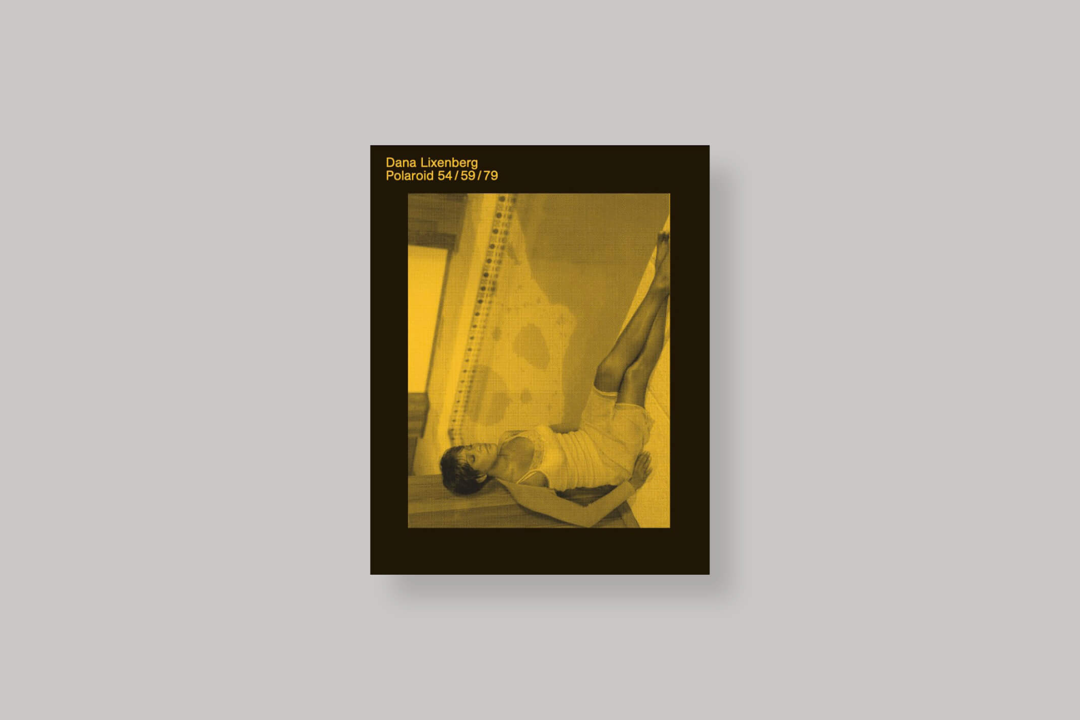 Polaroid-dana-lixenberg-roma-publications-cover