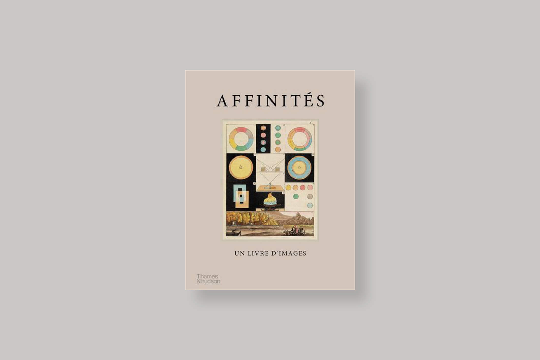 affinites-adam-green-thames-hudson-cover