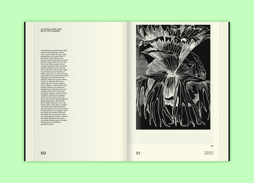 Leafy-House-Plants_udo-dammer-Slanted-Publishers-visuel-2