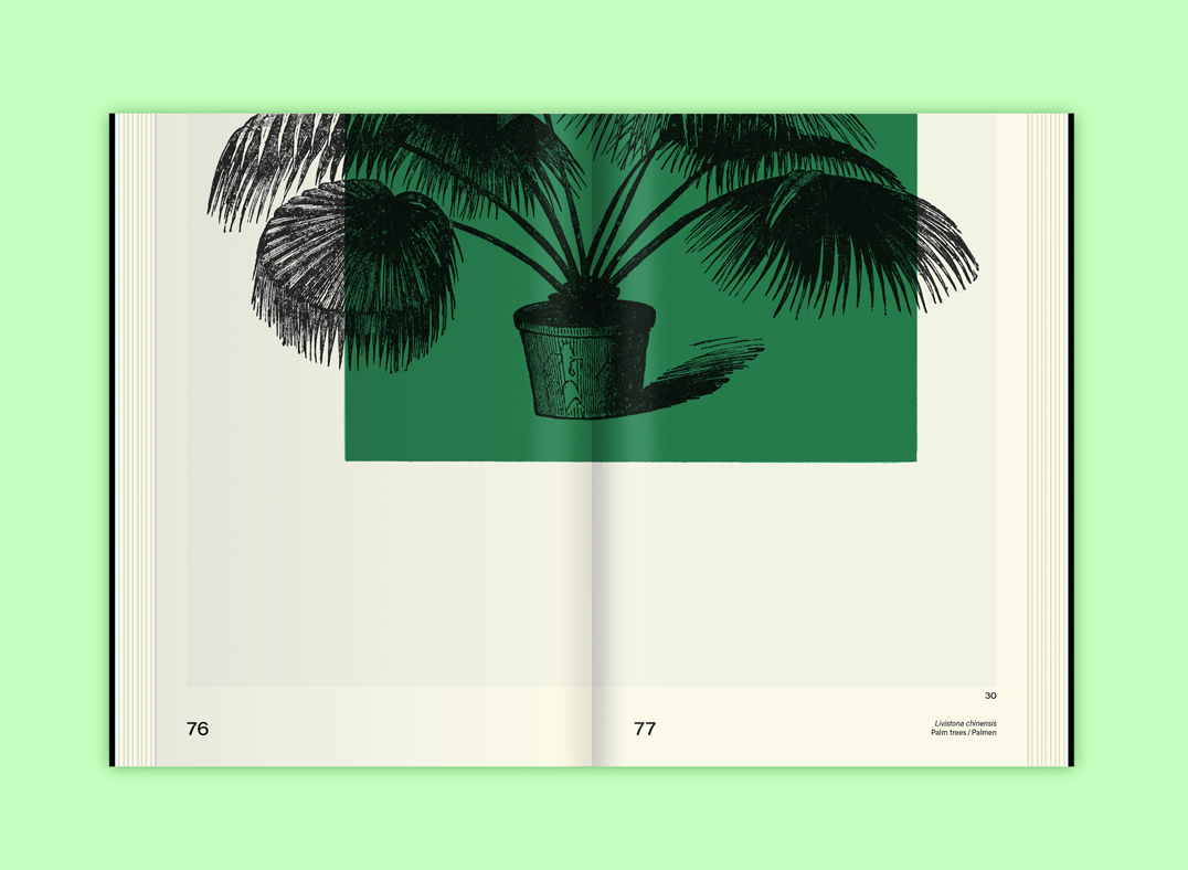 Leafy-House-Plants_udo-dammer-Slanted-Publishers-visuel-3