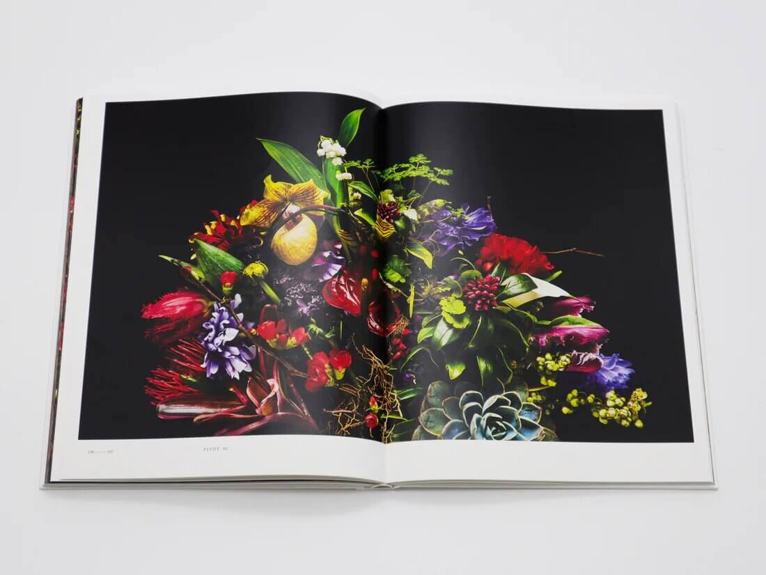 encyclopedia-of-flowers-vol-5-azuma-makoto-seigensha-art-publishing-visuel-3
