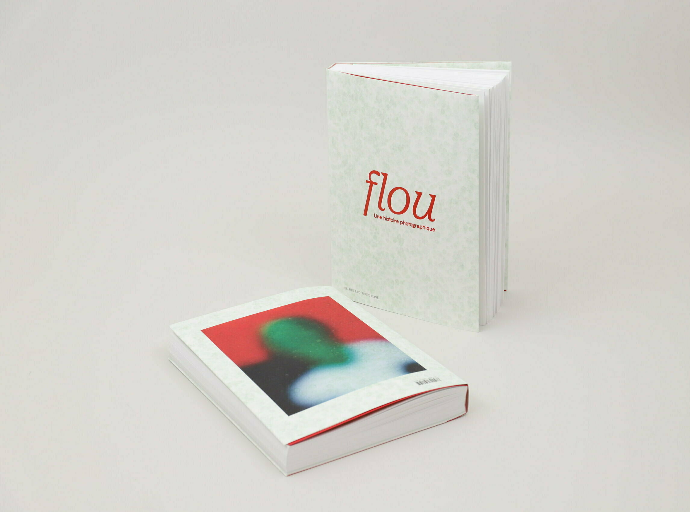 Flou-PhotoEylsee-cover-delpire1