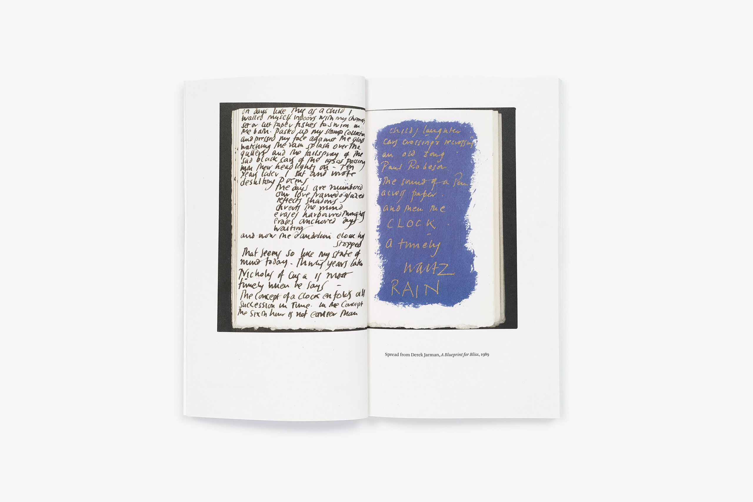 blue-jarman-david-zwirner-books-1