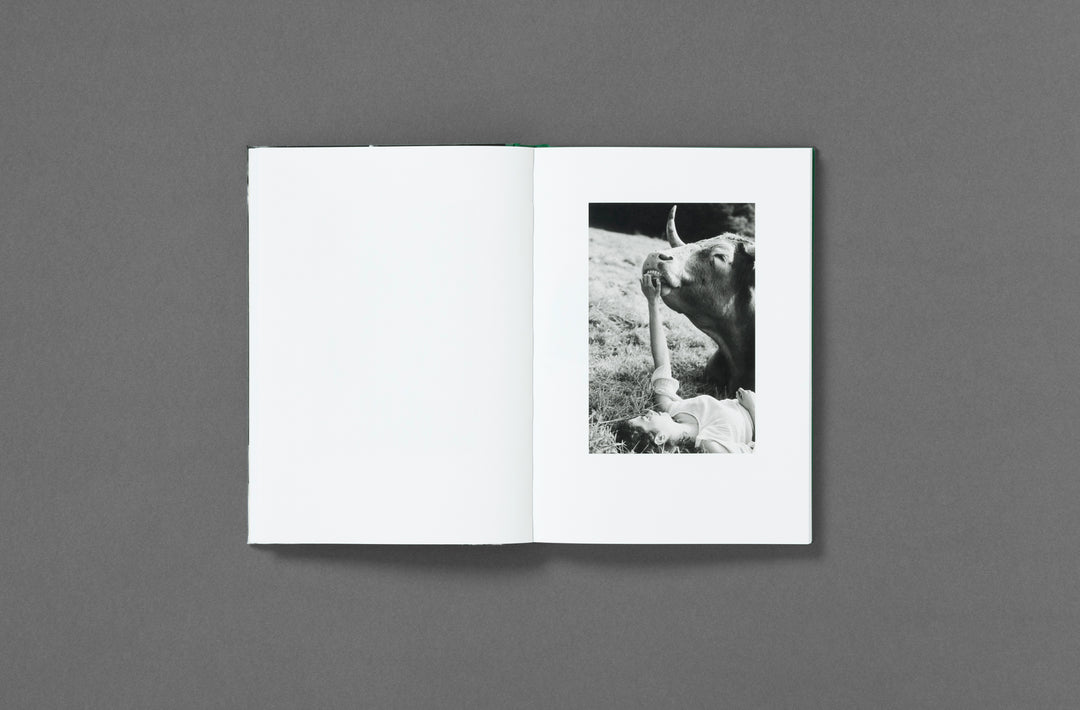 companions-wernicke-loose-joints-publishing-3