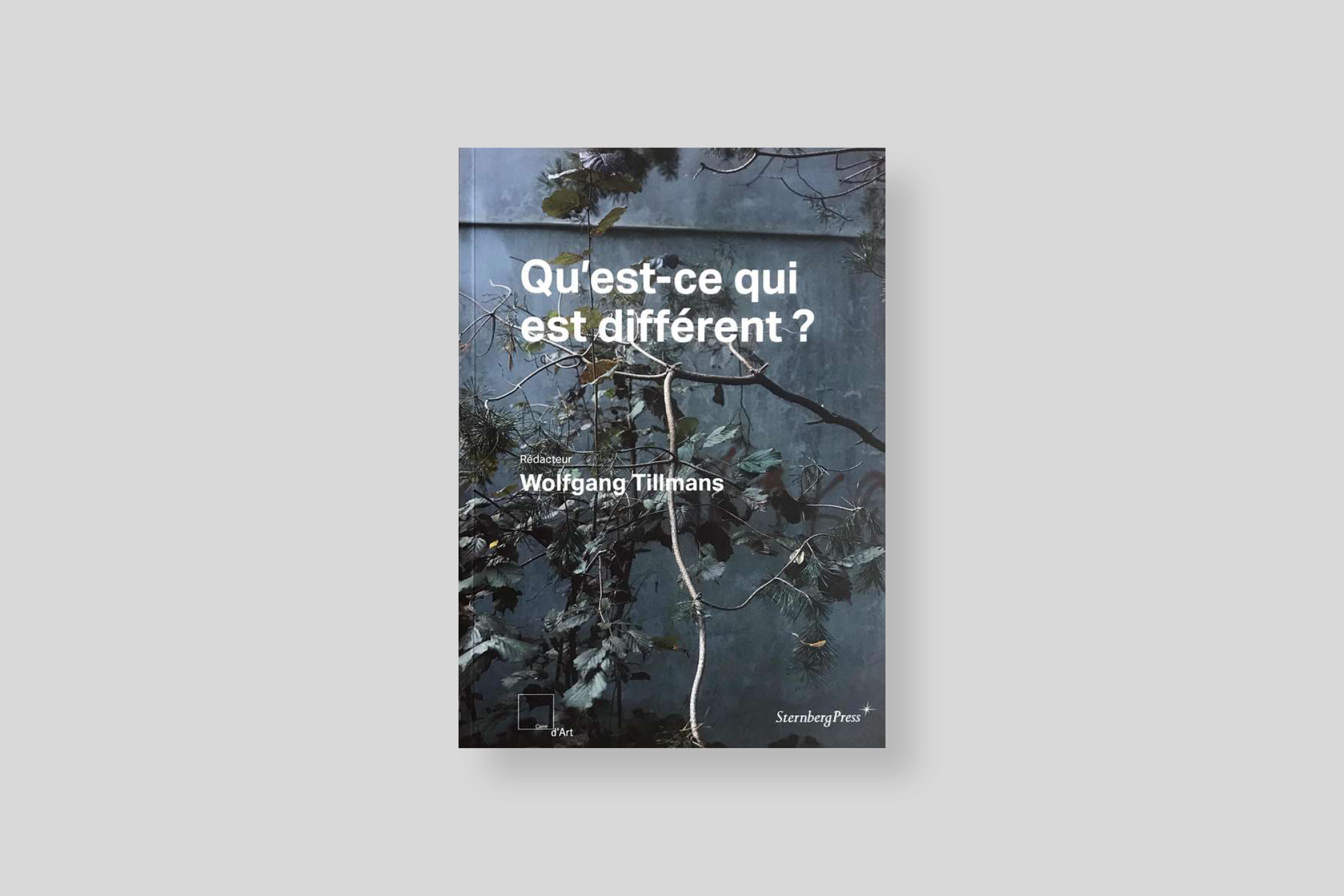 qu-est-ce-qui-est-différent-tillmans-jahresring-64-cover