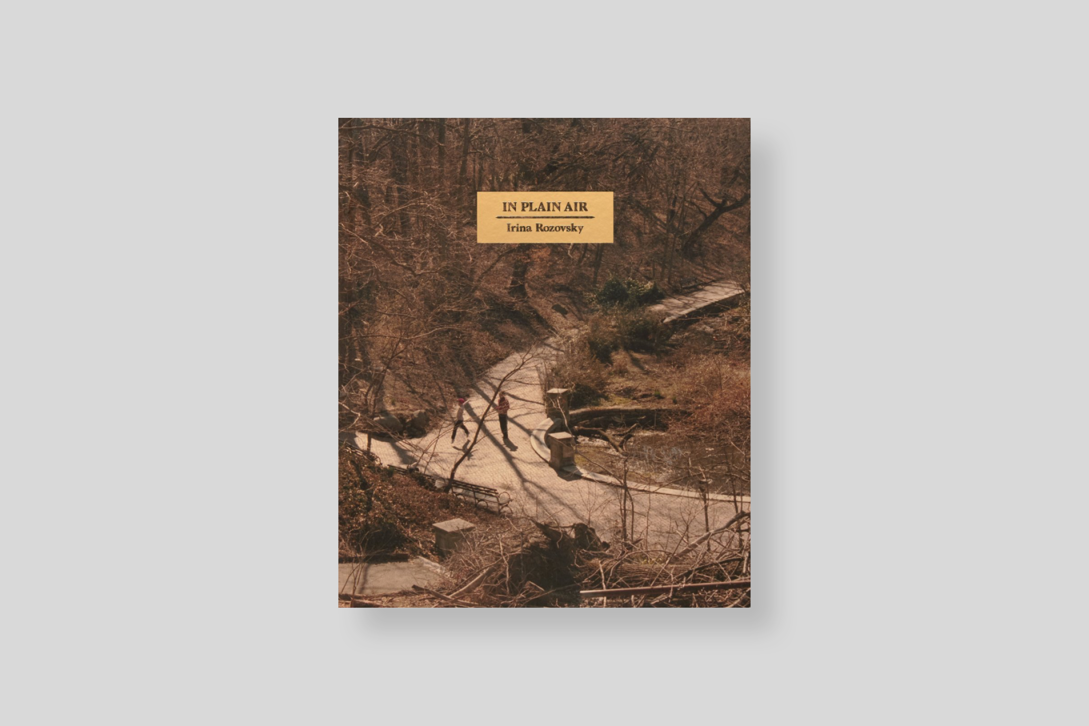 in-plain-air-rozovsky-mack-books-cover