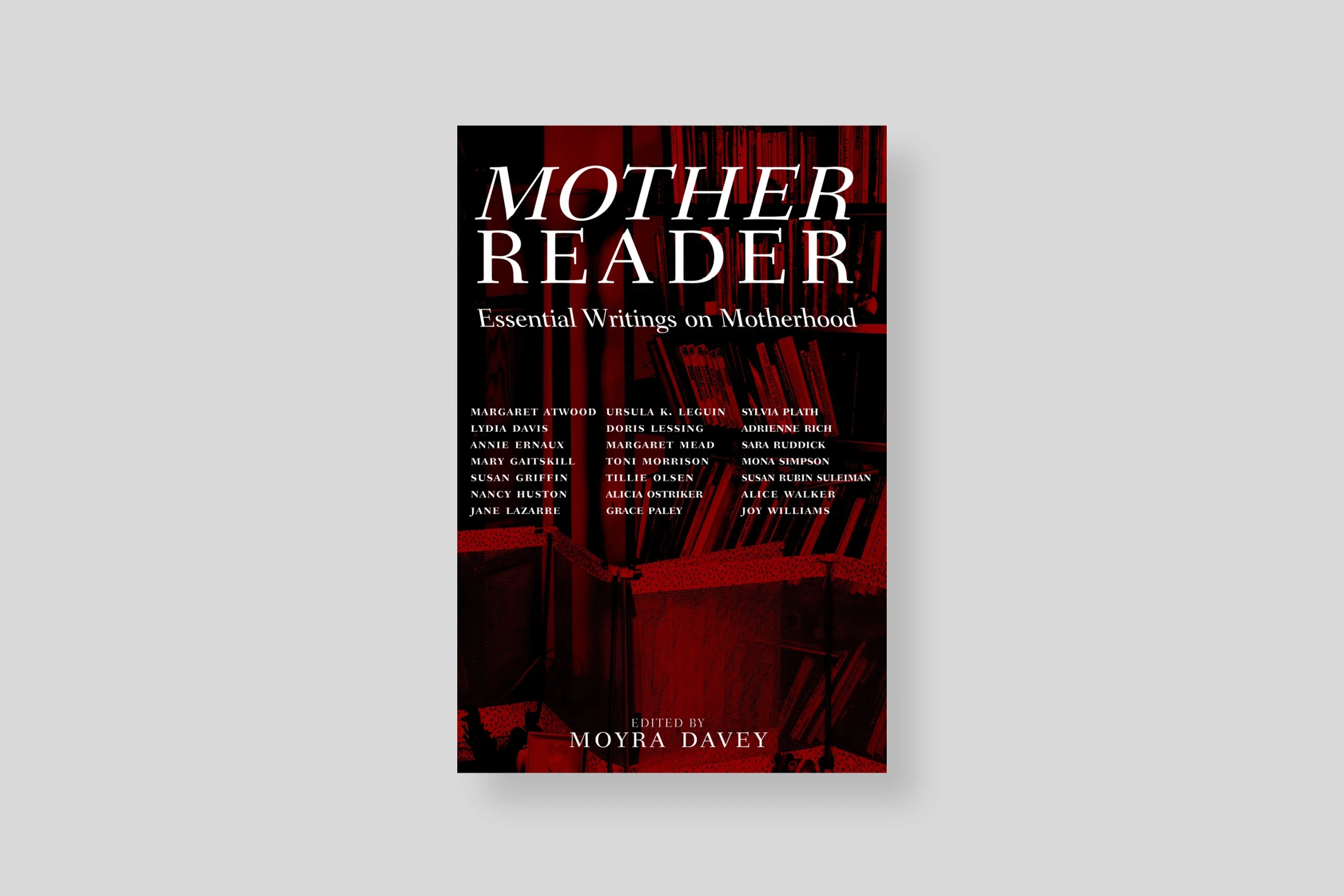 mother-reader-davey-seven-stories-press-cover