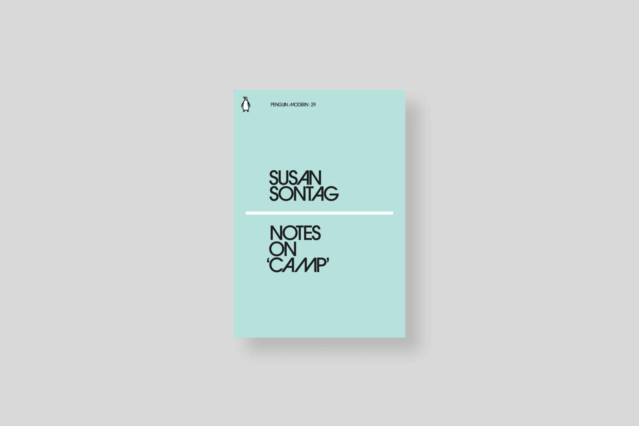 notes-on-camp-sontag-penguin-cover