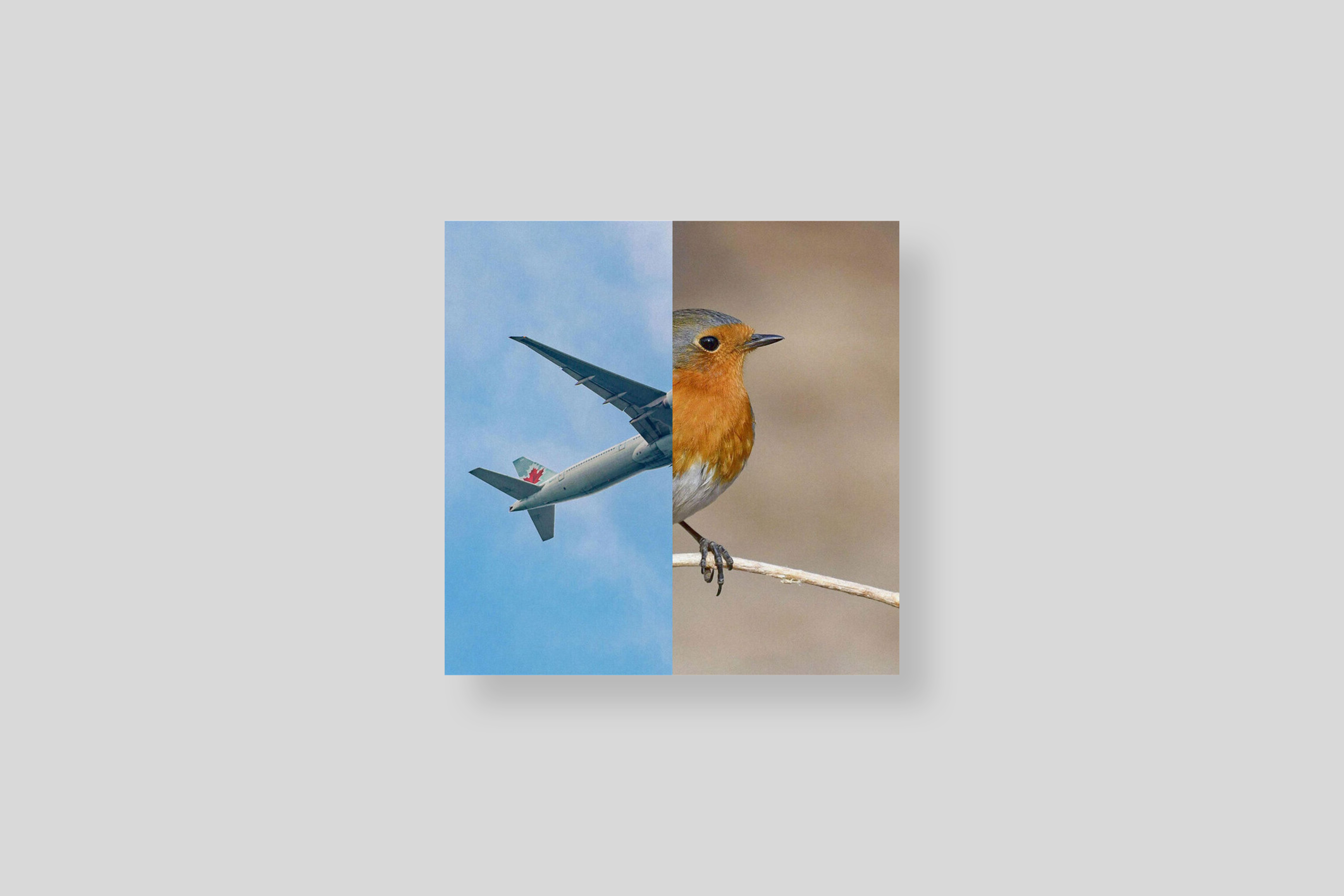 birds-kessels-private-print-cover