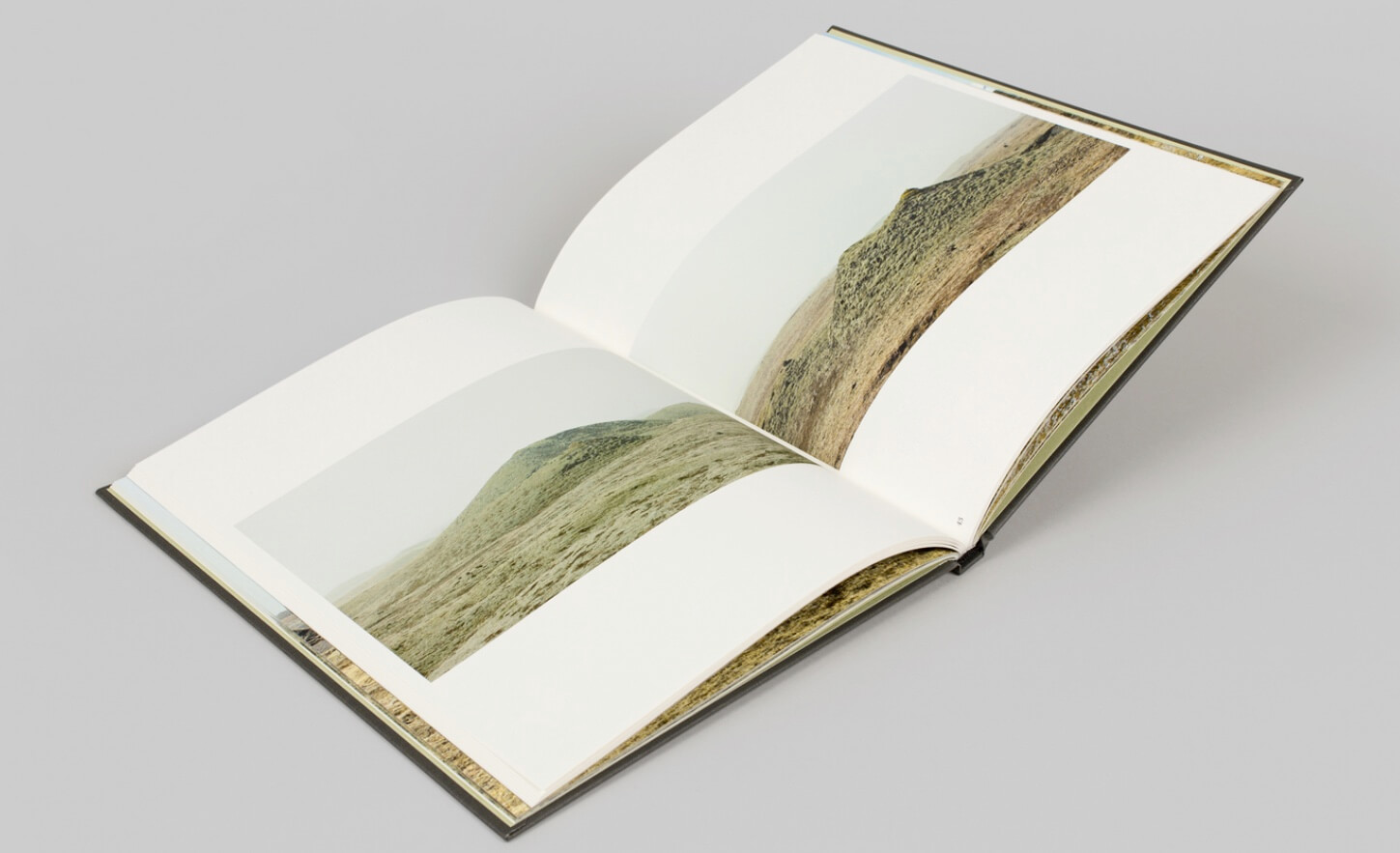 island_roni_horn_steidl_verlag_2
