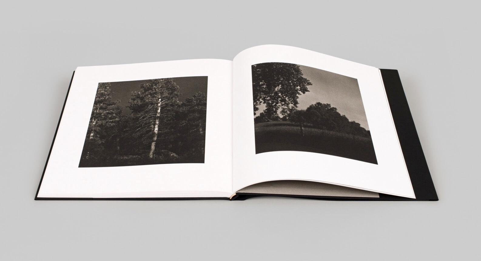 summer_night_walking_adams_steidl_verlag_3