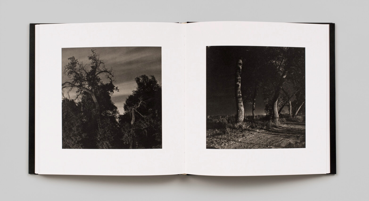 summer_night_walking_adams_steidl_verlag_5