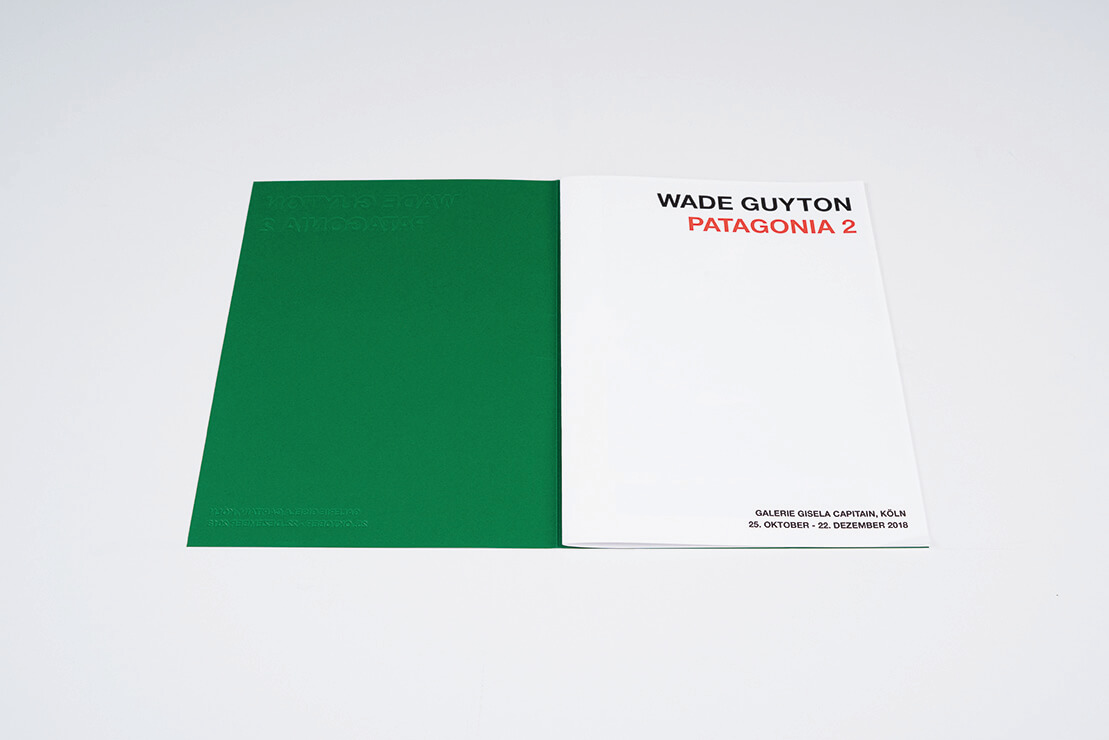 patagonia-2-wade-guyton-galeria-gisela-capitain-1