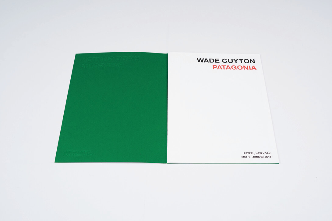 patagonia-wade-guyton-petzel-gallery-7