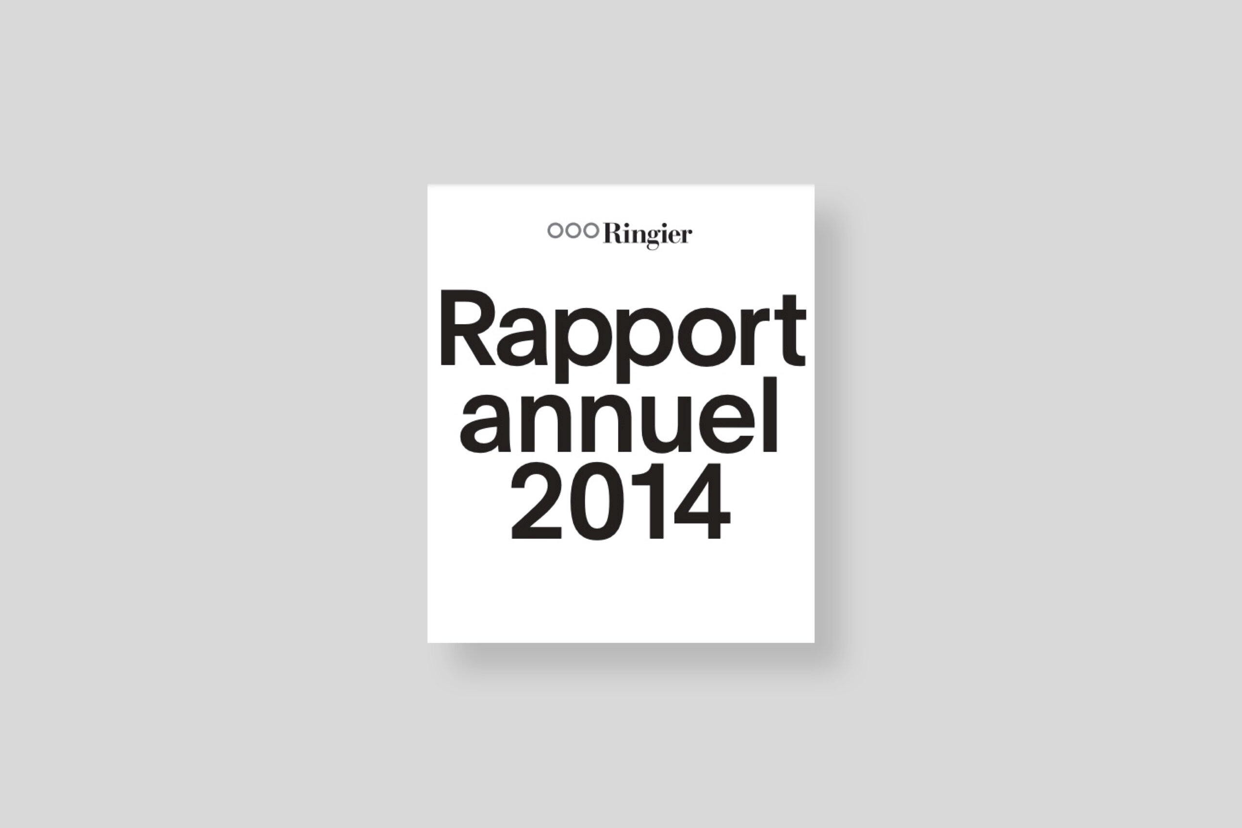 ringier-rapport-annuel-2014-wade-guyton-jrp-edition-cover-french
