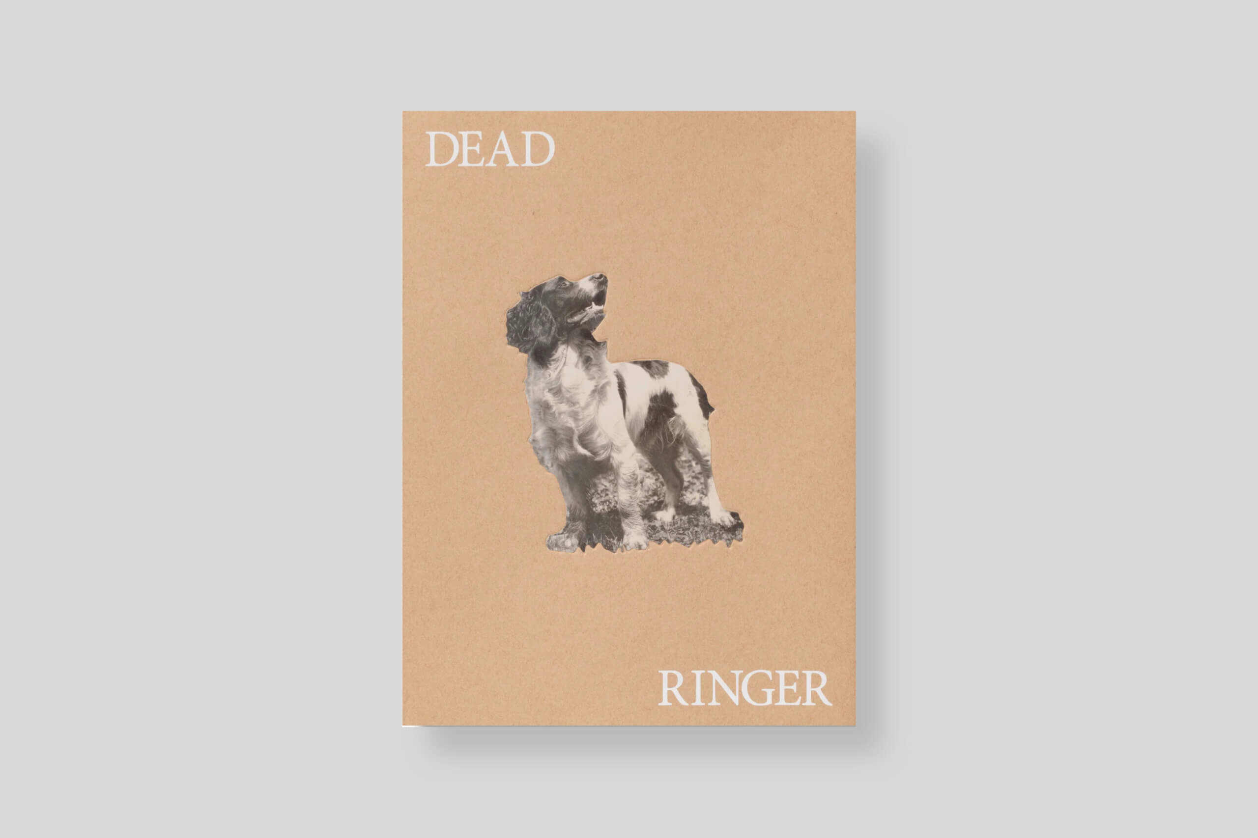 dead-ringer-tbw-books-elban-gamber-cover
