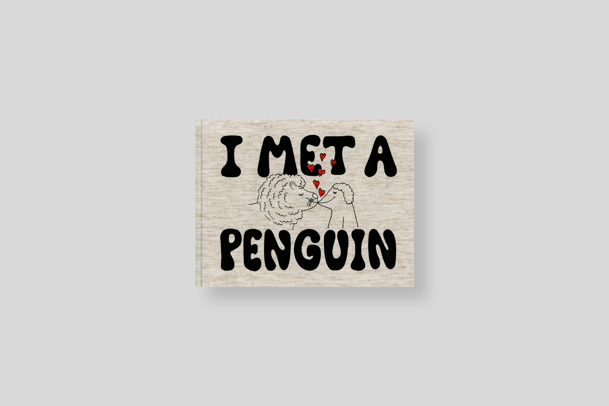 i-met-a-penguin-asch-nieves-publishing-cover