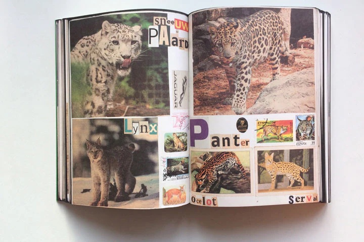 Animal-books-Lous-Martens-Roma-Publications-3-3