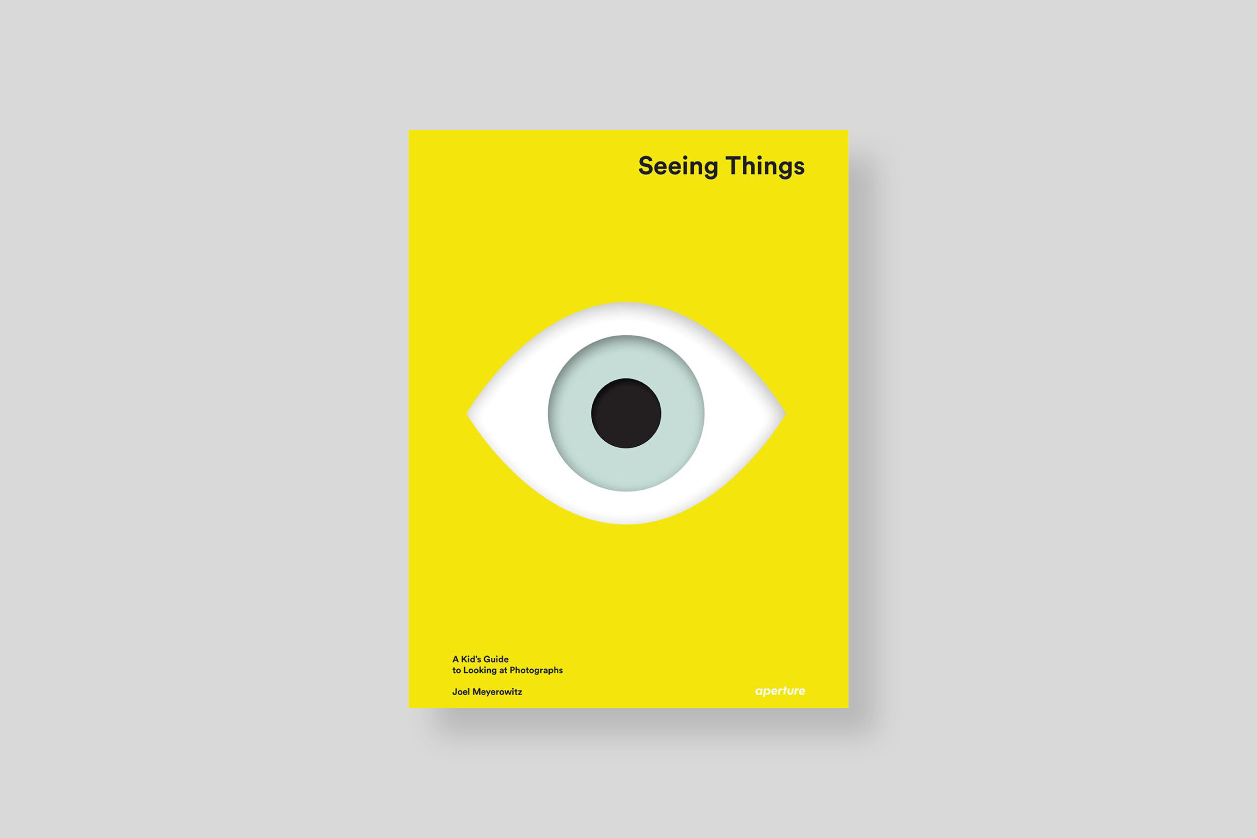 seeing-things-meyerowitz-aperture-cover