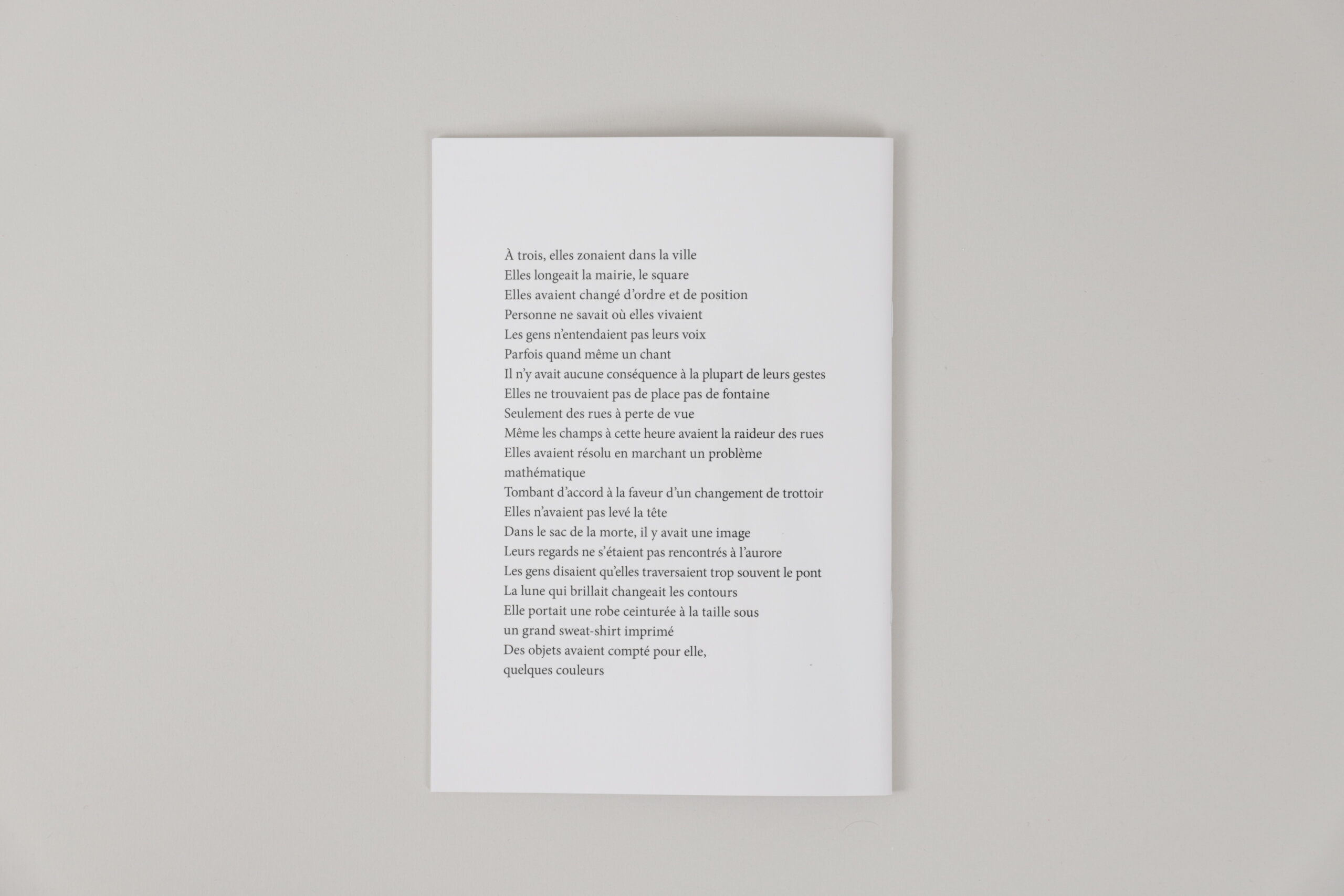 terra-remota-julien-carreyn-fanzine-4