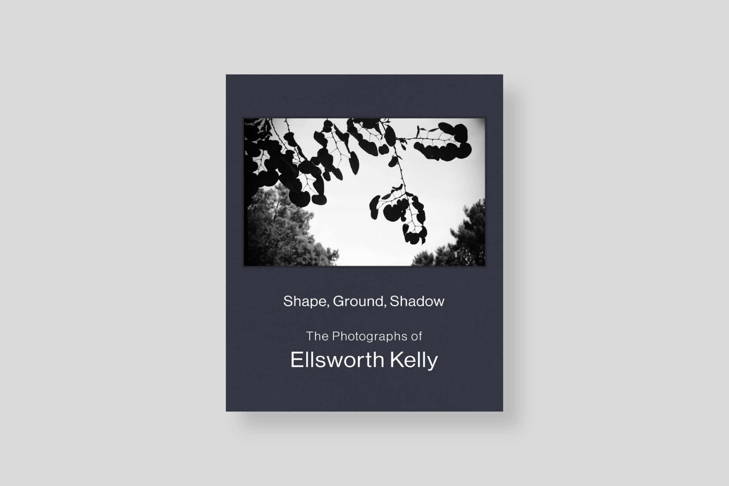 shape-ground-shadow-ellsworth-dap-artbook-editions-cover
