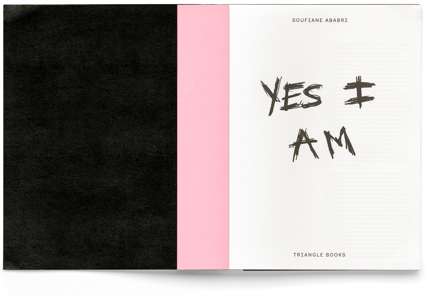 yes-am-i-ababri-triangle-books-0