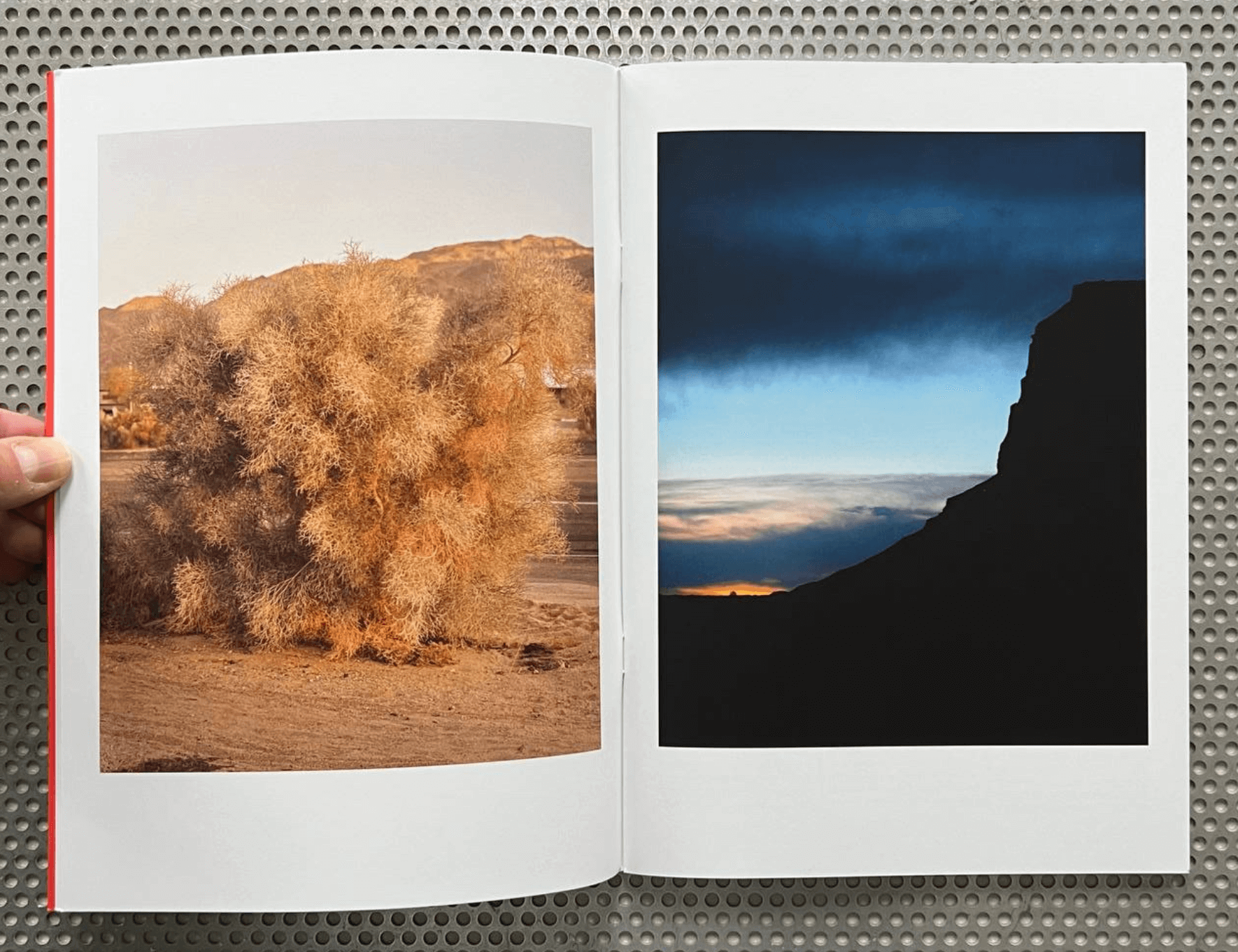 the-desert-club-4
