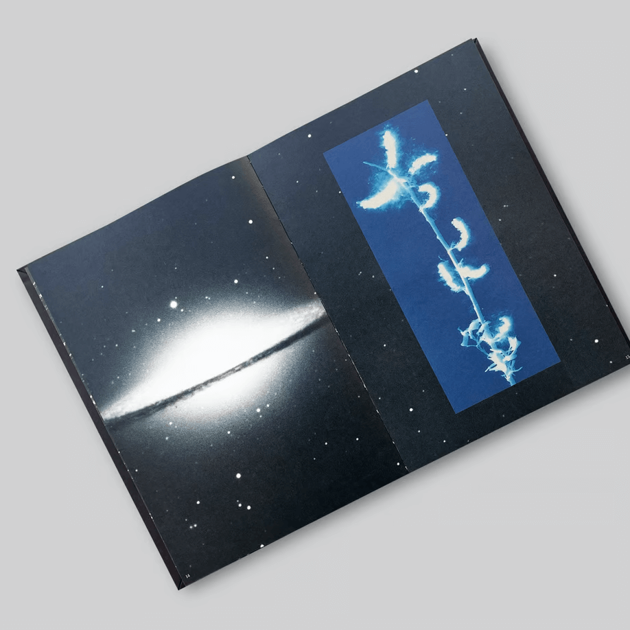 gone-timothy-prus-1