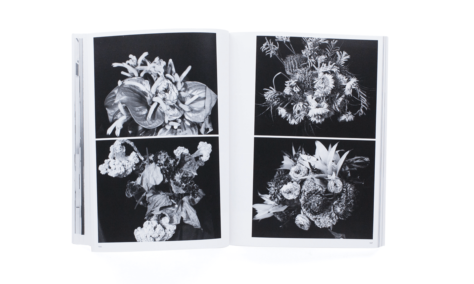 photo-crazy-a-araki-2