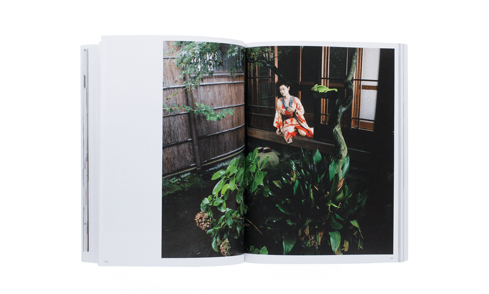 photo-crazy-a-araki-3
