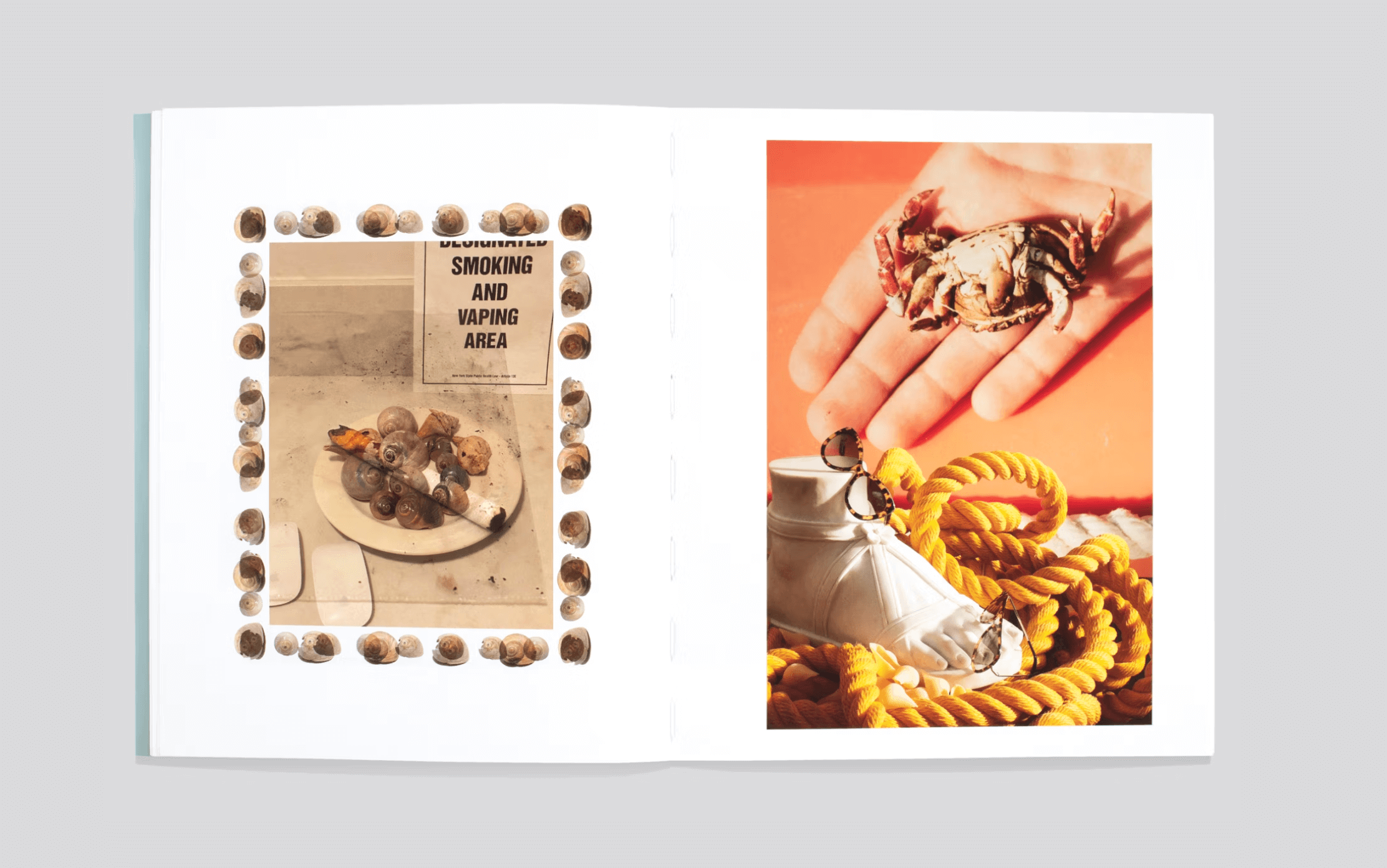shells-note-note-editions-4