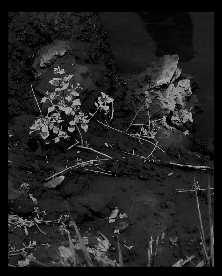 Capture d’écran 2025-04-25 à 15.40.03