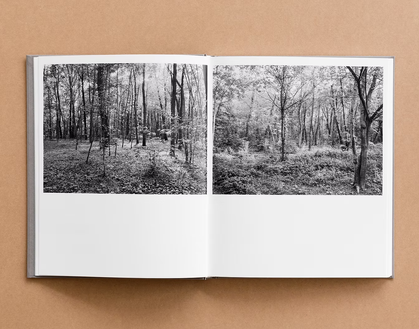 cartographies-ephemeres-1